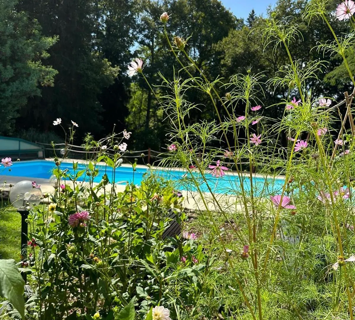 Wild Camping Am Fluss Saint-Martory 0*,